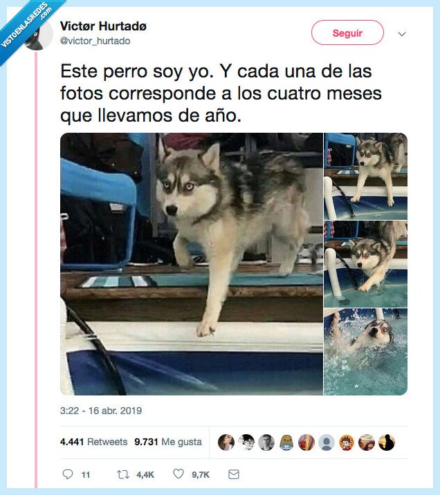 anomalia,espiritual,perrete