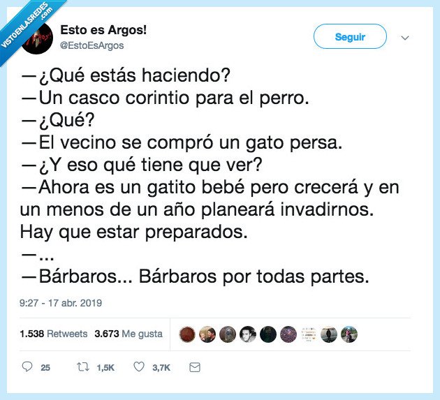 barbaridad,casco,gato