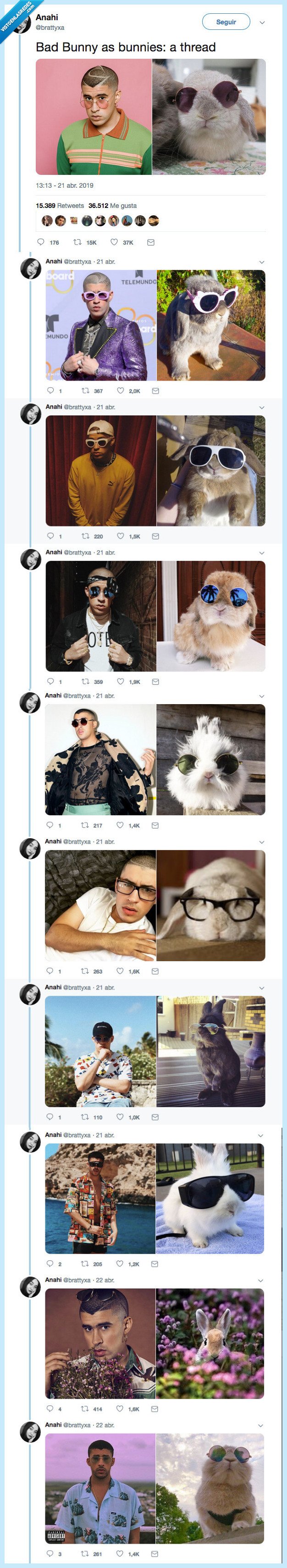 hilo,como,lindo conejo