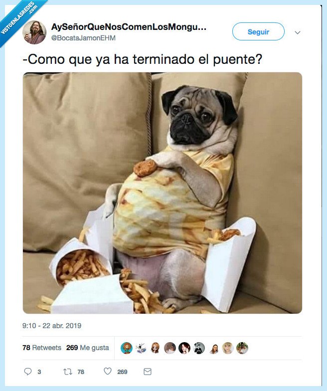 jhacer,puente,lo &uacute;nico