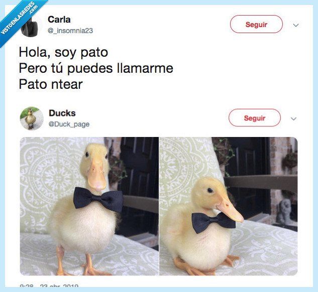 pato,patontero