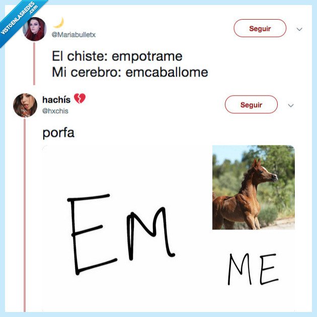 mente,funcionar,empotrar,encaballar