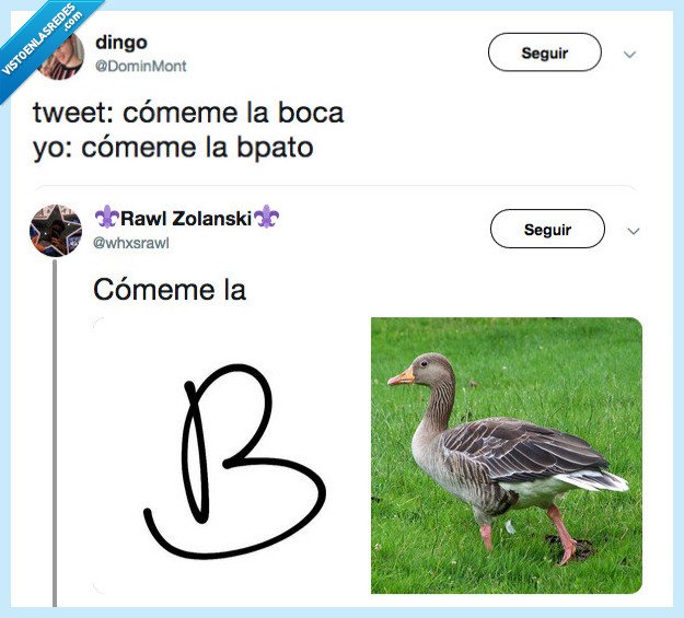 comer,pato,twitter