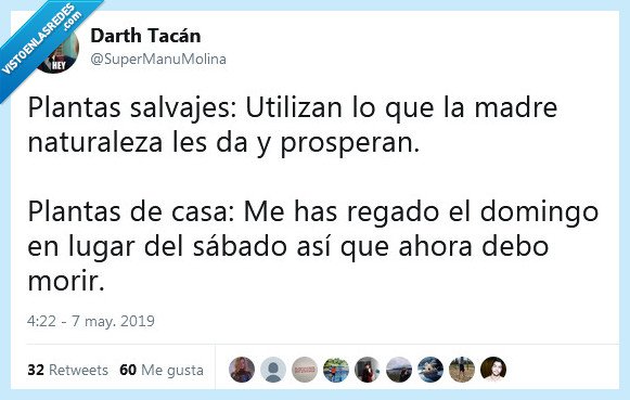 plantas,salvajes,casa,regar,naturaleza