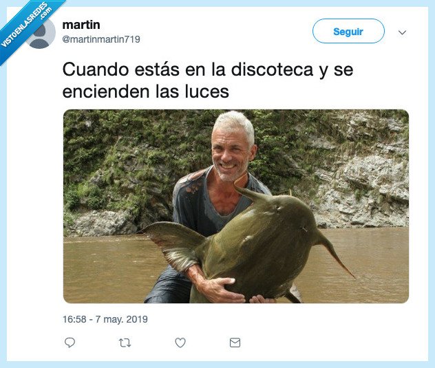 sorpresa,encender,luces,discoteca,pescado,ligar,ver