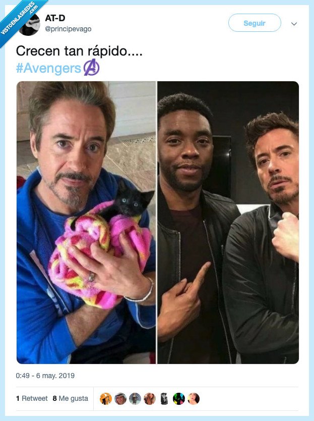 Pantera negra,Tony Stark,gatito,años,crecer,tiempo