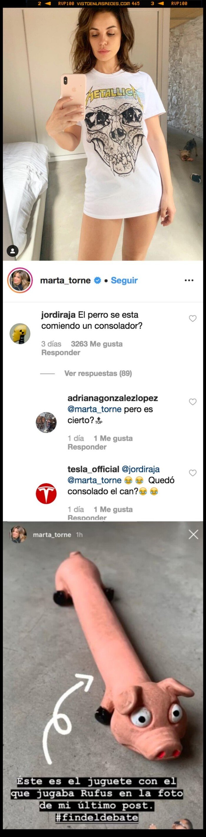 marta torné,cerdito