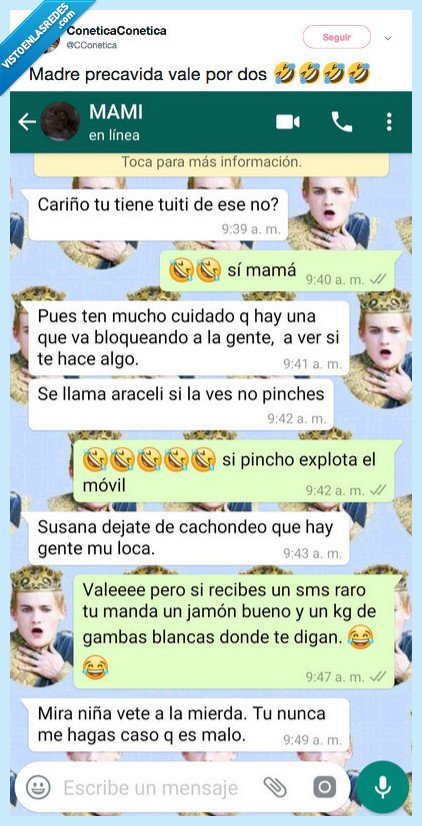 whatsapp,conversaciones,madres,madres perdidas,protectora,aviso