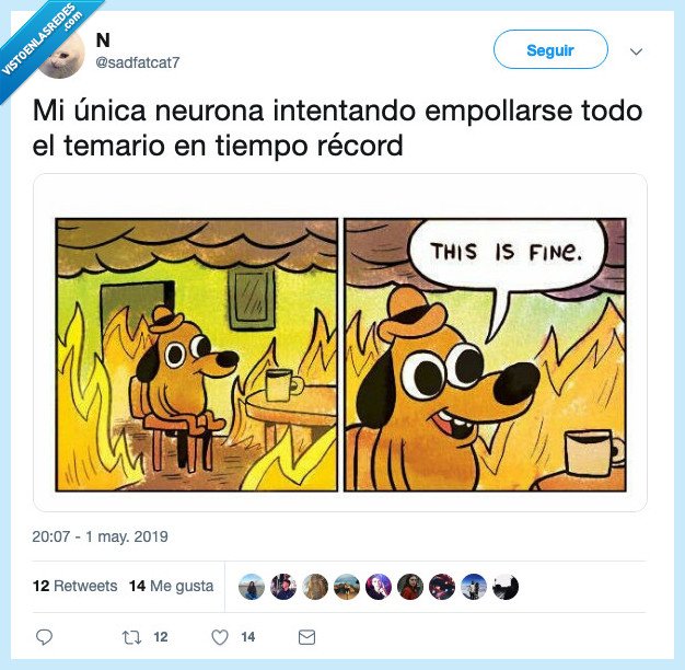 neurona,estudiar,temario,record,mayo