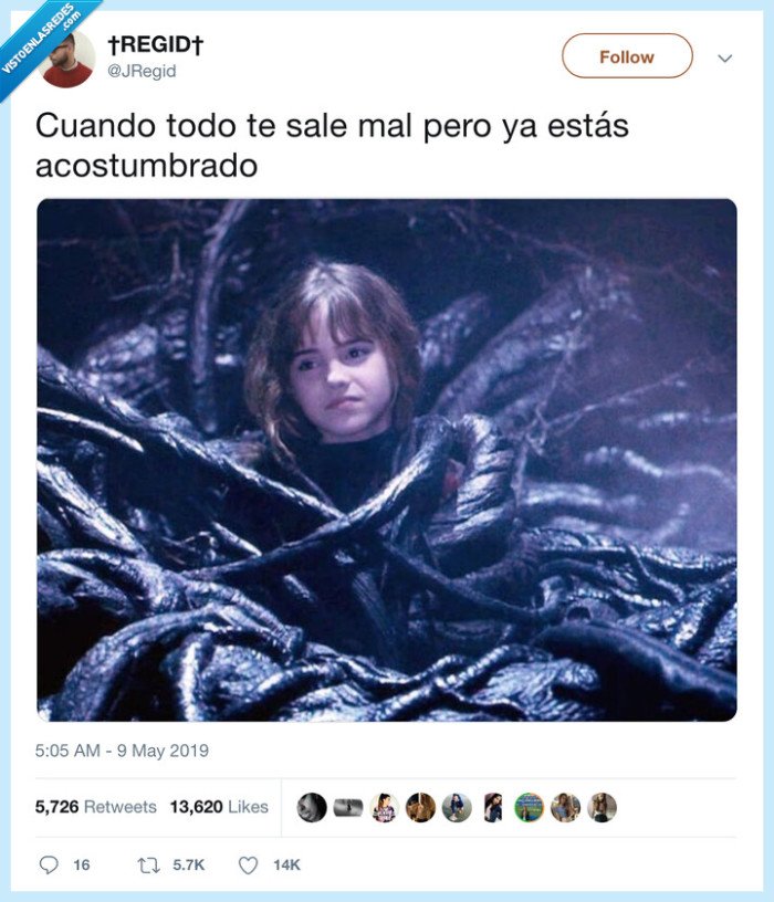 todo mal,hermione,acostumbrados