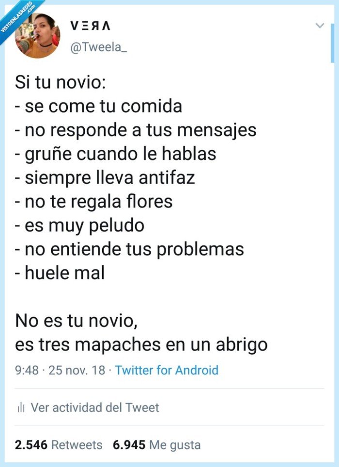 tres,mapaches,mensajes,conida,gruñe,antifaz,peludo,huele mal,no es tu novio