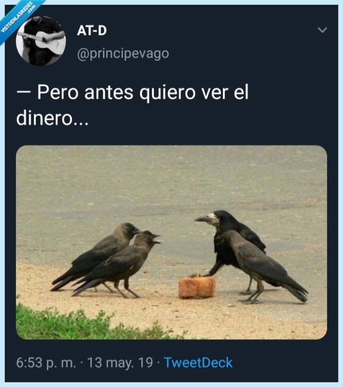 Aves,paquete,dinero,principevago