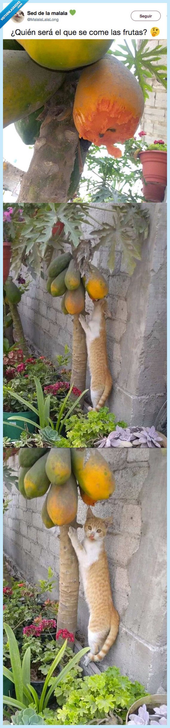 pillar cosas,manos,masa