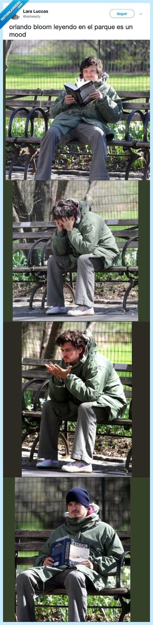 mood,representar,leyendo