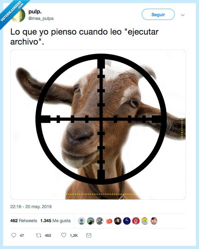 entender,querer,chivo