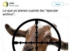 Enlace a Cada uno entiende lo que quiere, por @mea_pulpa/