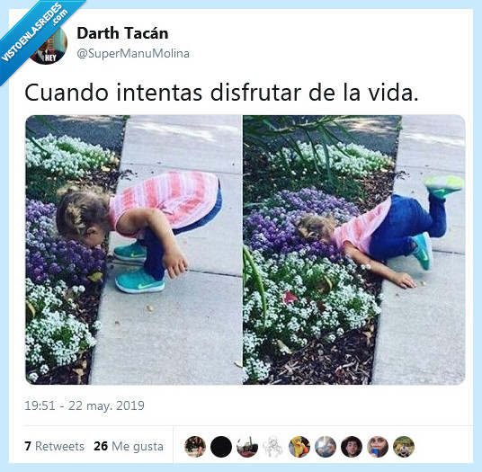 disfrutar,vida,intentar