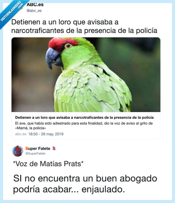matias prats,da&ntilde;o,ha hecho