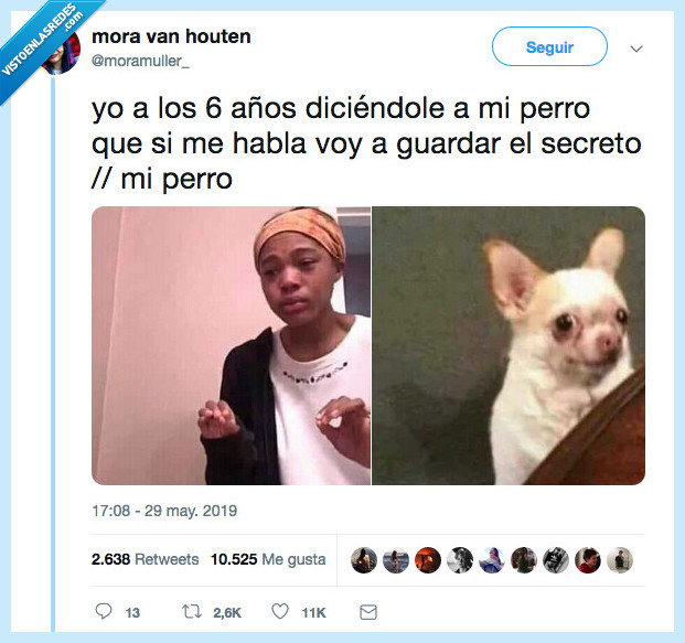 años,decir,perro,hablar,secreto