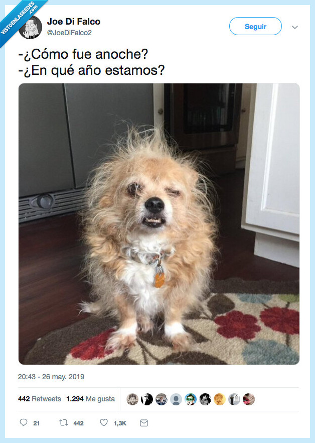 resaca,viva imagen,encontrarse mal