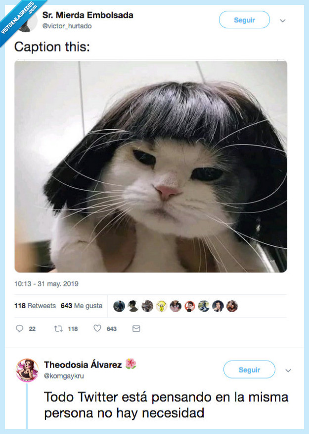 falta,decir,nada más,gata,maria jose