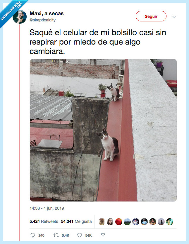 sacaar,cámara,momento oportuno