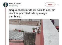 Enlace a Esto es sacar la cámara en el momento oportuno, por @skepticalcity