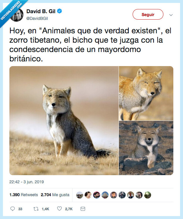 después,ver,cara,culpable