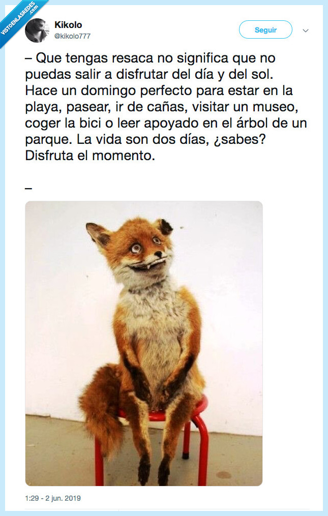 callar,resaca,salir,sol