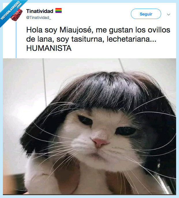 maria jose,animalista,vegetariana,gato