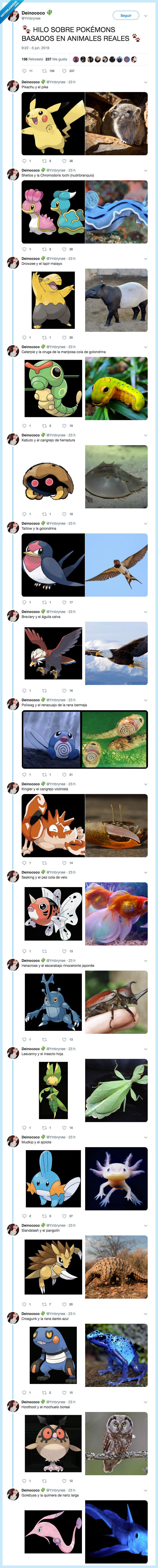 pokemon,inspiración animal