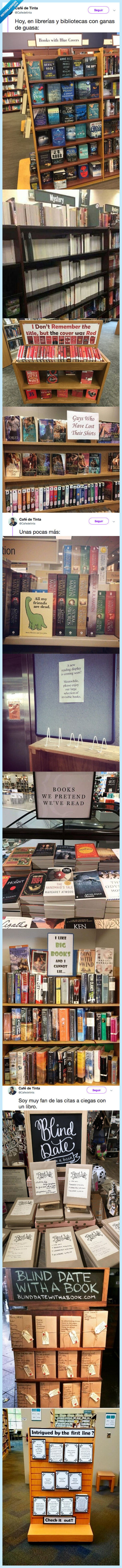 ordenar,libros,obra,arte