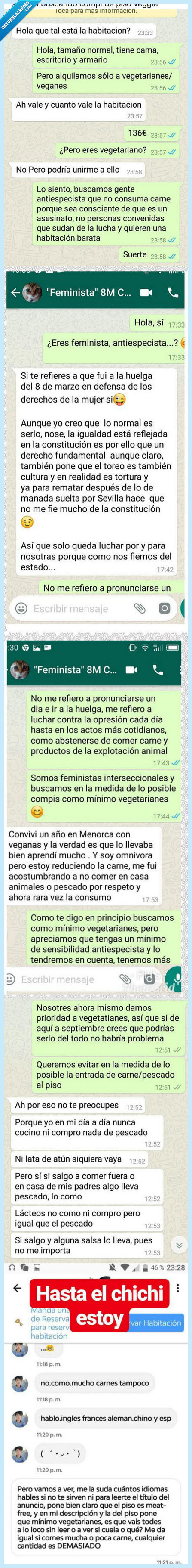 sevegano,compañero de piso,whatsapp