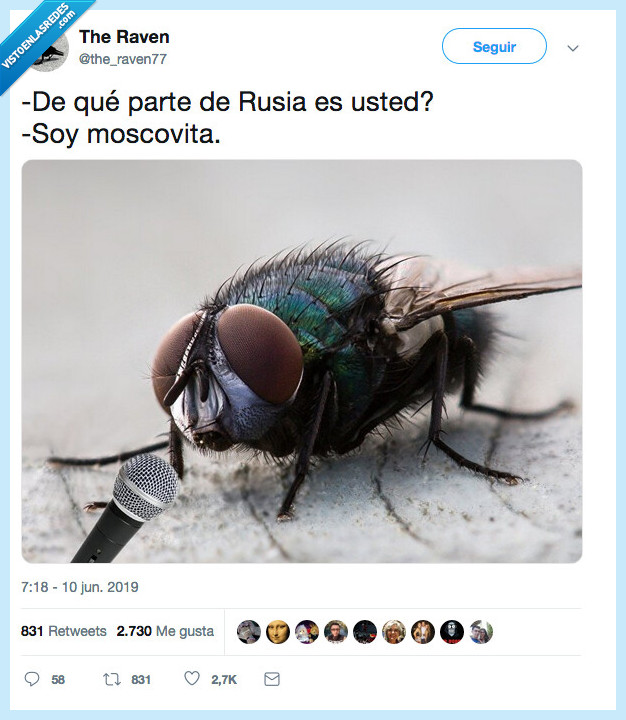 malo,chiste,moscovita,mosca