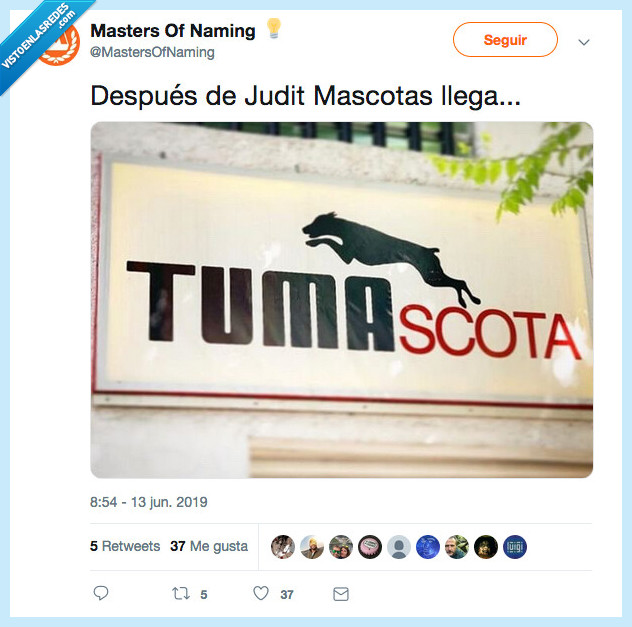 naming,mascota,veterinario