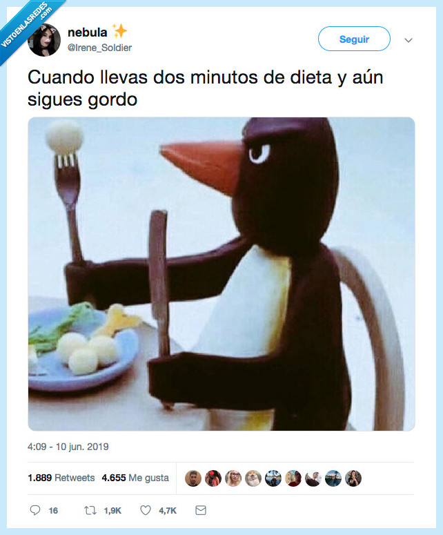 paciencia,minutos,dieta,gordo