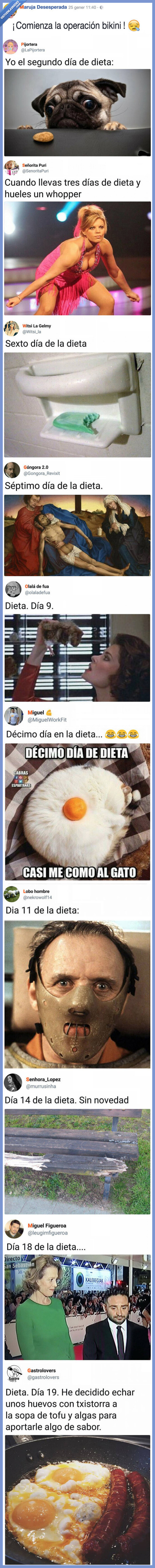 dieta,evolución