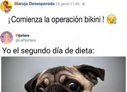 Enlace a ¿Estás en plena operación bikini? Estos memes te representan...