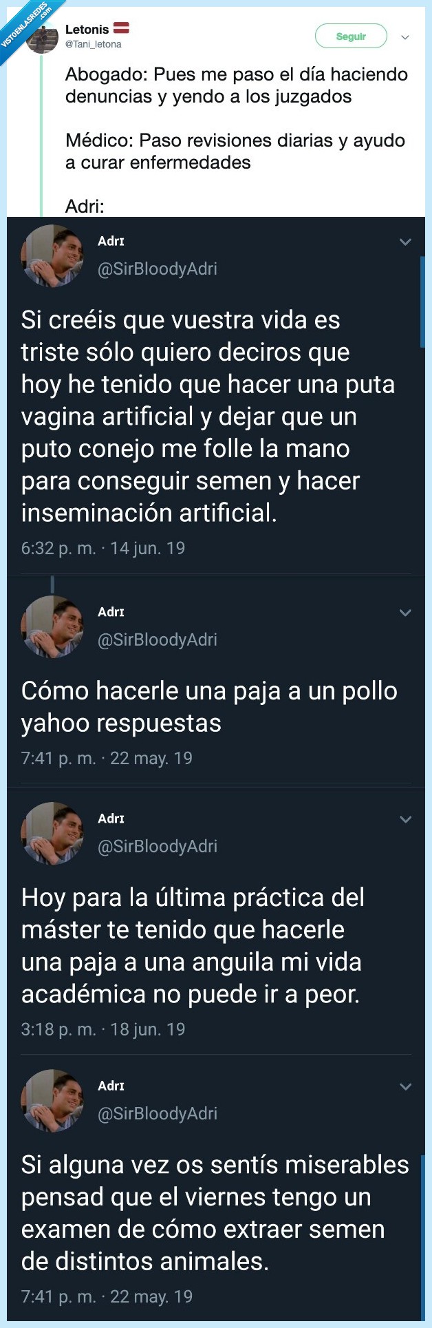 vida,laboral,adri,veterinario