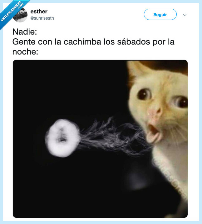 cachimba,gato,cara