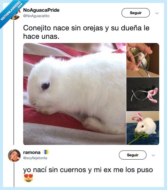 cuernos,humor,es posible