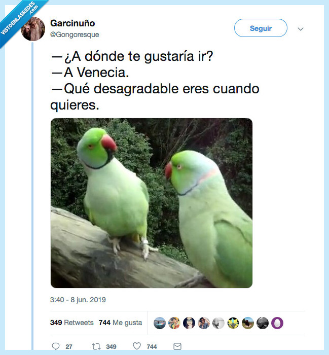 venecia,ave necia,a,chiste malo