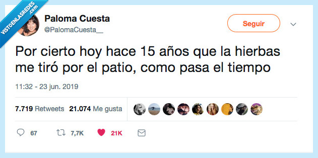 hierbas,patio,paloma cuesta