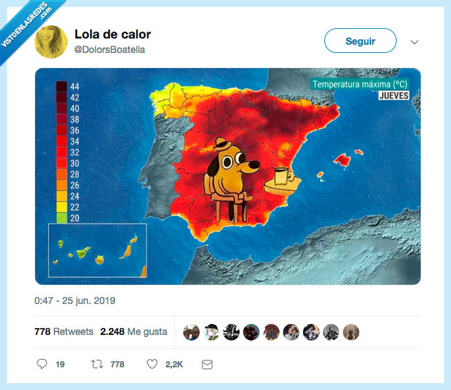 ola de calor,meme,it's fine,dolors boatella