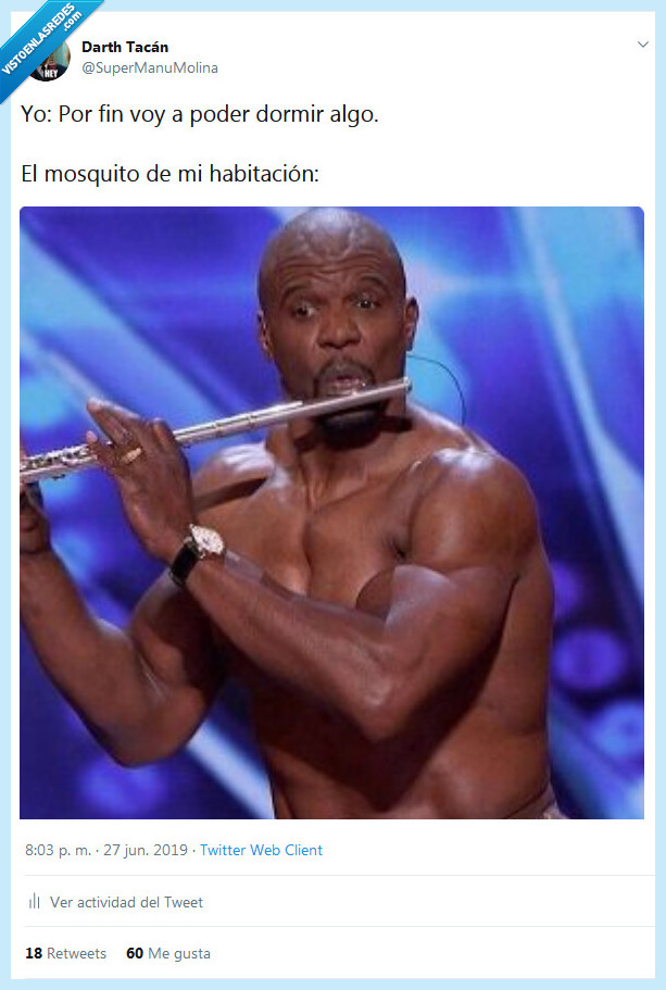 mosquito,dormir,habitaci&oacute;n