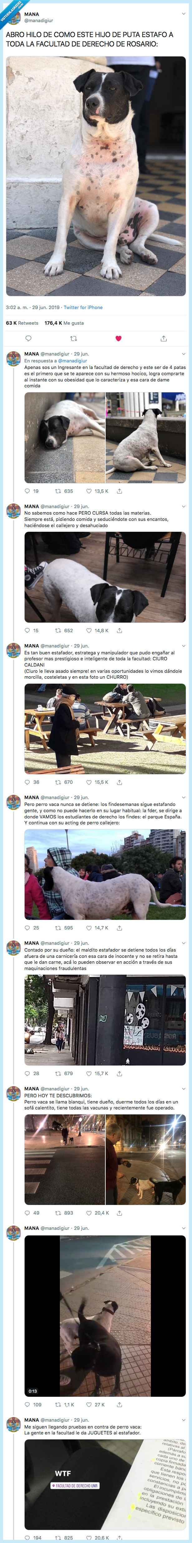perro,estafar,argentina