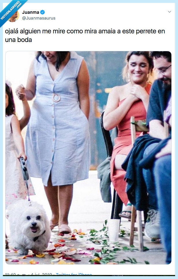 ojal-a,mirar,boda,amaia,perro