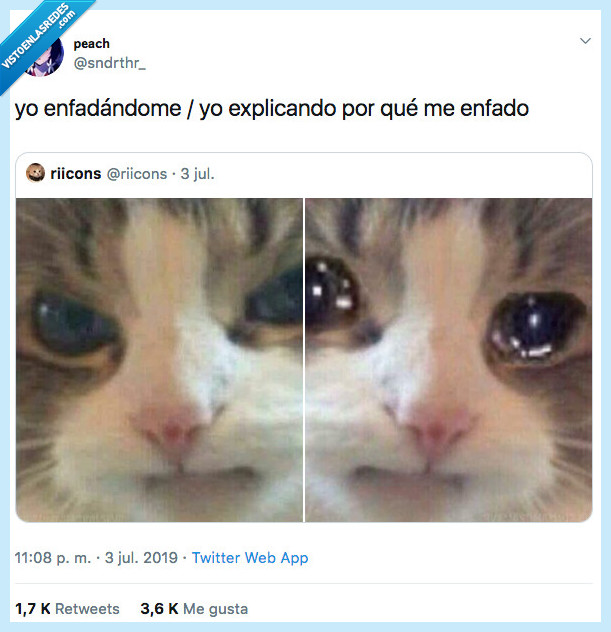 llorar,gato,meme,muy yo