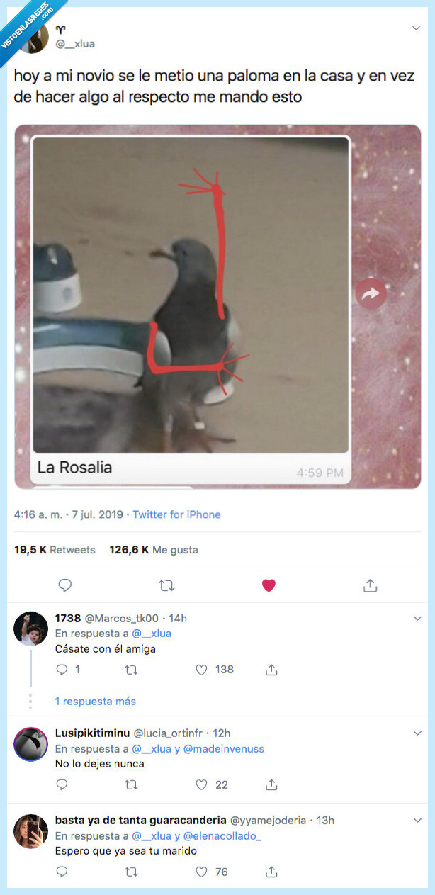 casado,dias,esperamos,la rosalia