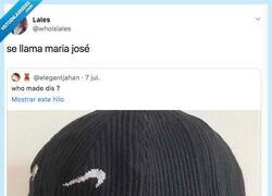 Enlace a Le gustan los libros, es taciturna, vegetariana, (pausa), animalista, por @whoislales
